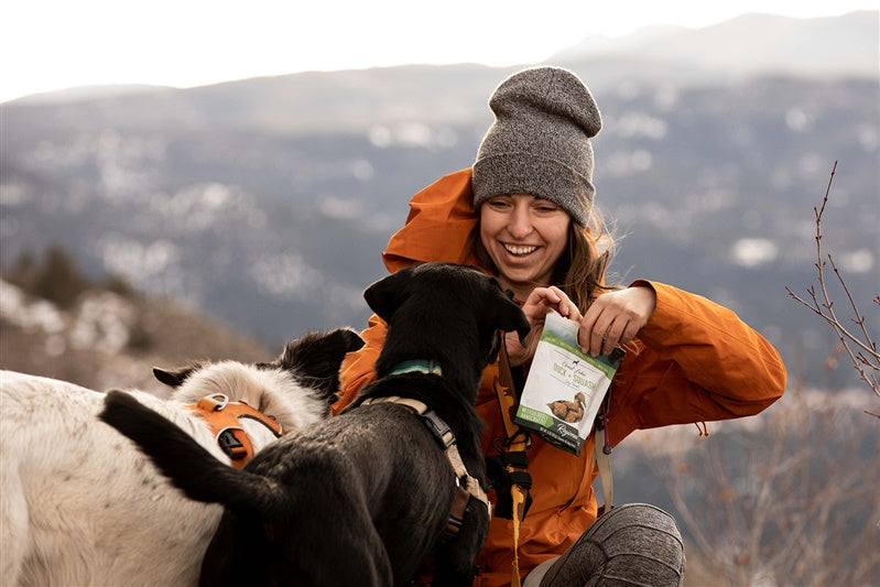 Best Dog-Friendly Hiking Spots in Colorado